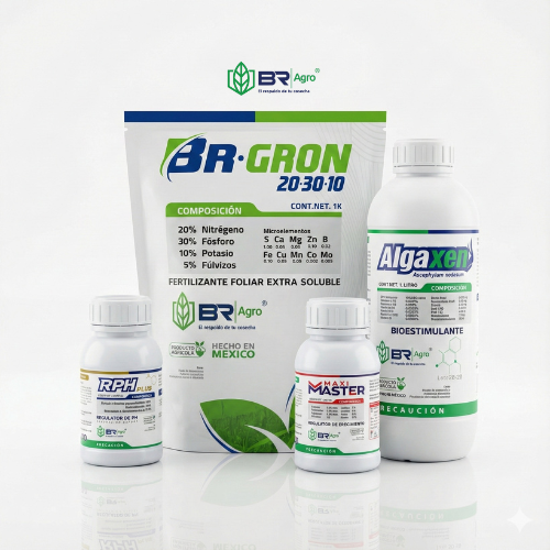 Paquete Desarrollo BR Agro