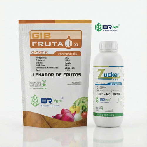 Paquete Descargue BR Agro